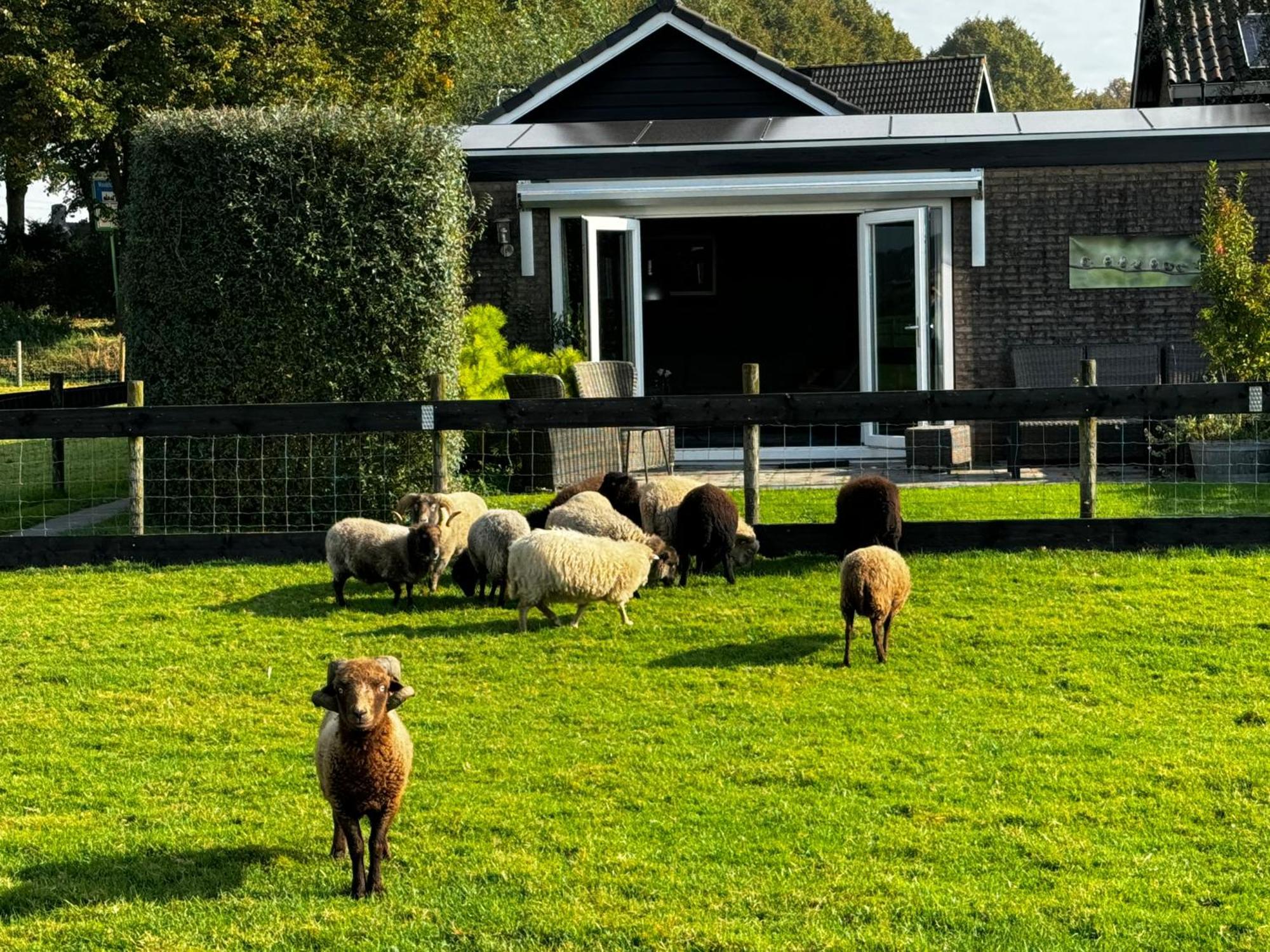 Vakantiewoning Le Garaazje 'S-Gravendeel Eksteriør billede