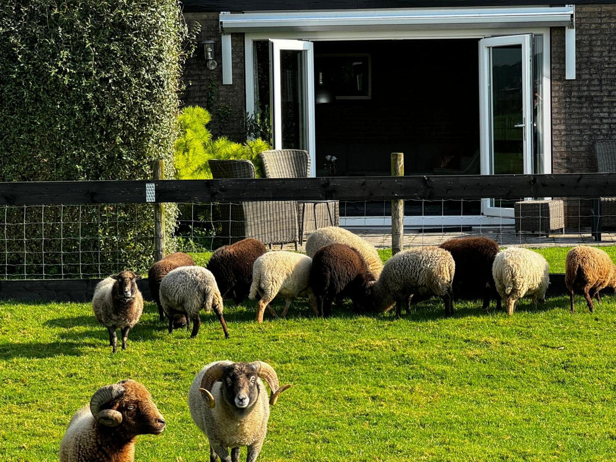 Vakantiewoning Le Garaazje 'S-Gravendeel Eksteriør billede