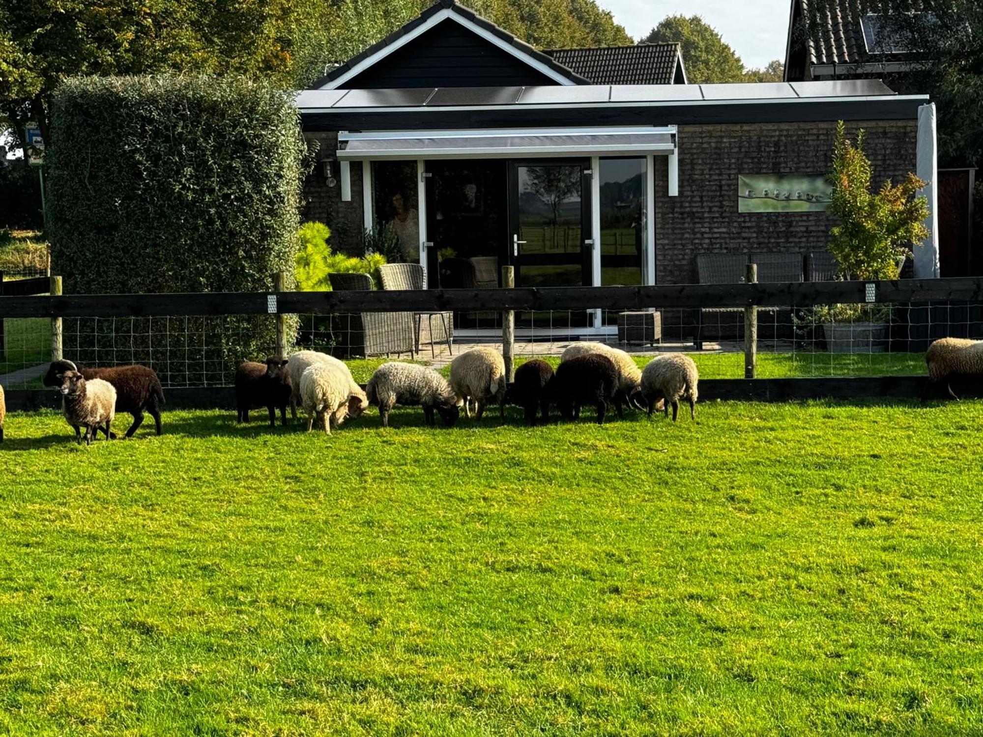 Vakantiewoning Le Garaazje 'S-Gravendeel Eksteriør billede